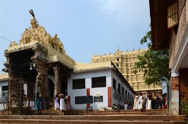 Sri-Padmanabhaswamy Temple, Trivandrum,_DSC_9334_H600